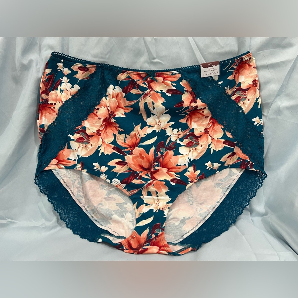 Lane Bryant panties